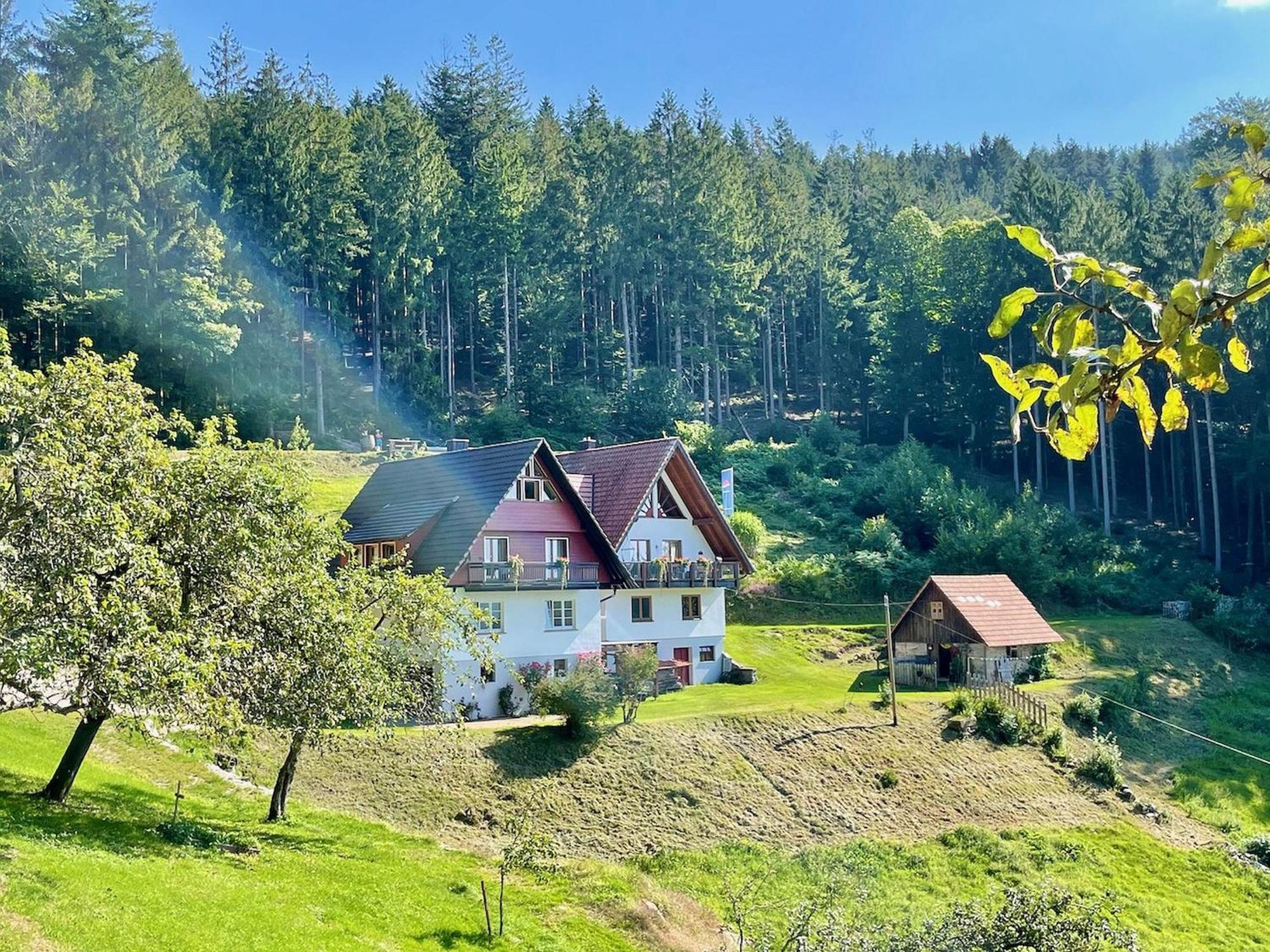 Ferienwohnung Deine Rauszeit Seebach Exterior foto